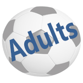 Men's Over 45s (Wragg League) Detail Page